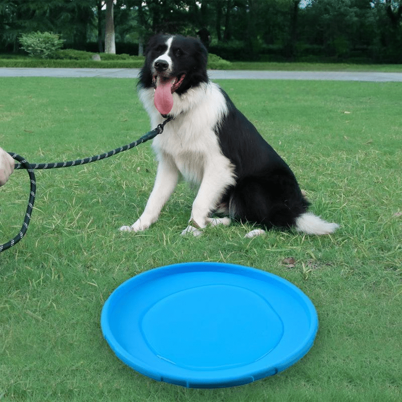 Frisbee Chien - FlyingDiscToys™ - Bleu - Toutou Joyeux