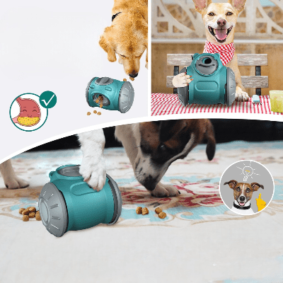 Distributeur de Croquettes pour Chien - BrainChase™ - Turquoise - Toutou Joyeux