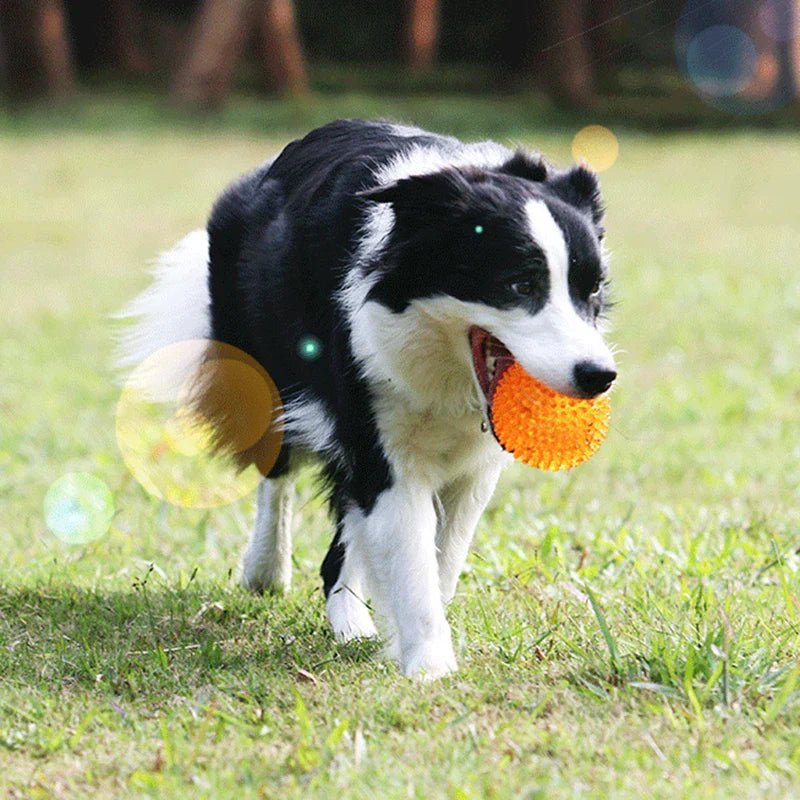 Balle pour Chien - BiteResistantBall™ - Orange - Toutou Joyeux