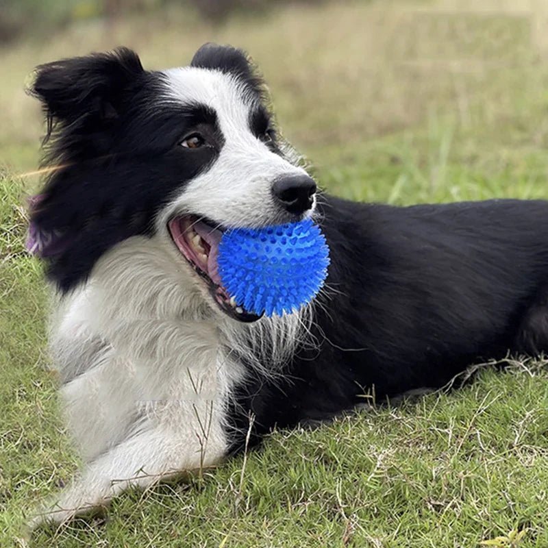 Balle pour Chien - BiteResistantBall™ - Bleu - Toutou Joyeux