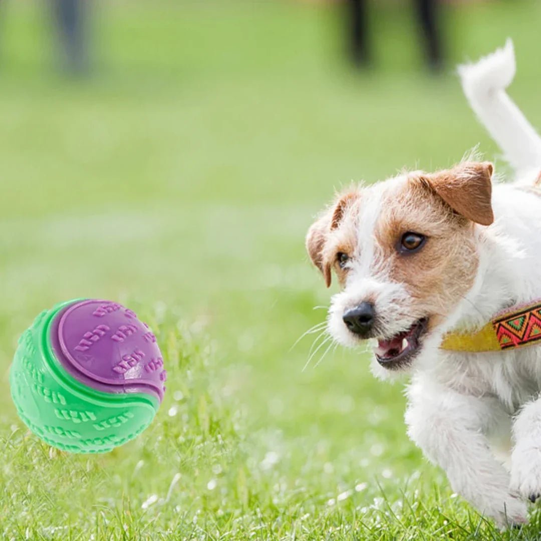 Balle pour Chien - InteractiveToys™ - Violet - Toutou Joyeux