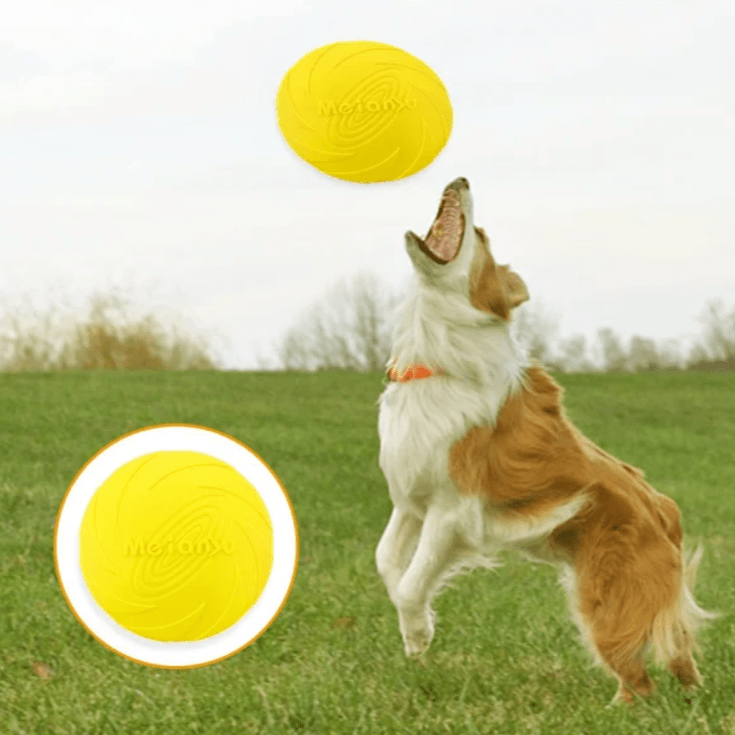 Frisbee Chien - FlyingDiscToys™ - Jaune - Toutou Joyeux