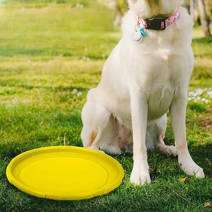 Frisbee Chien - FlyingDiscToys™ - Jaune - Toutou Joyeux