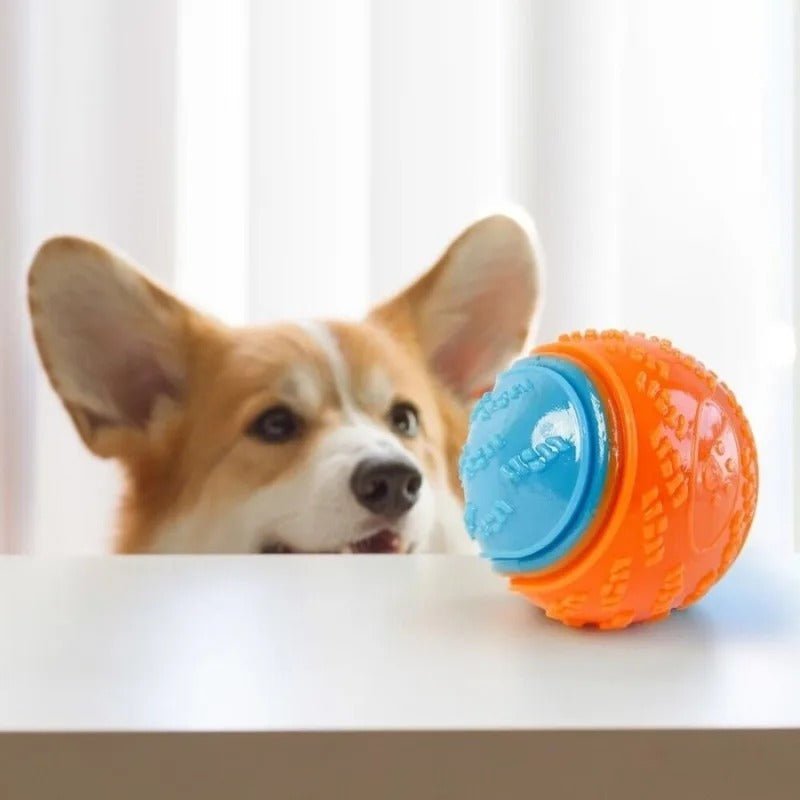 Balle pour Chien - InteractiveToys™ - Bleu - Toutou Joyeux