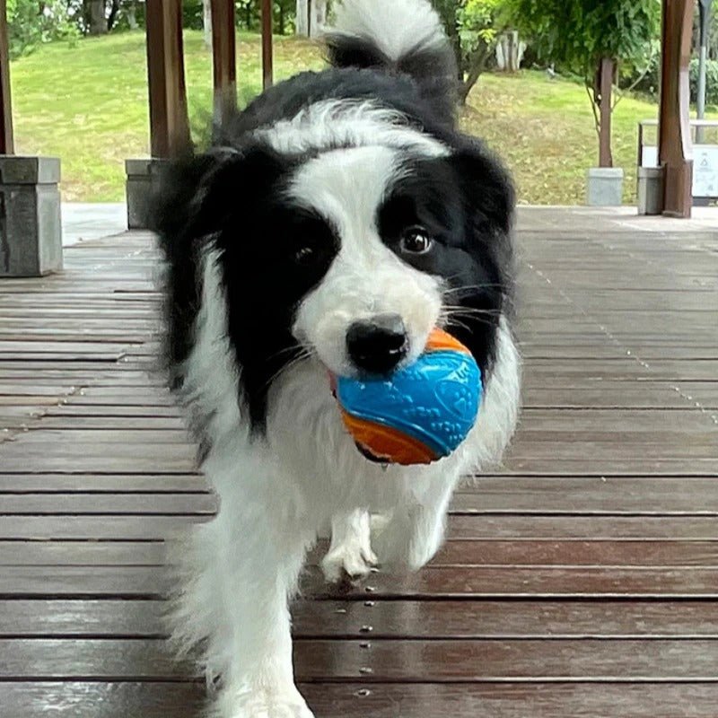 Balle pour Chien - InteractiveToys™ - Bleu - Toutou Joyeux