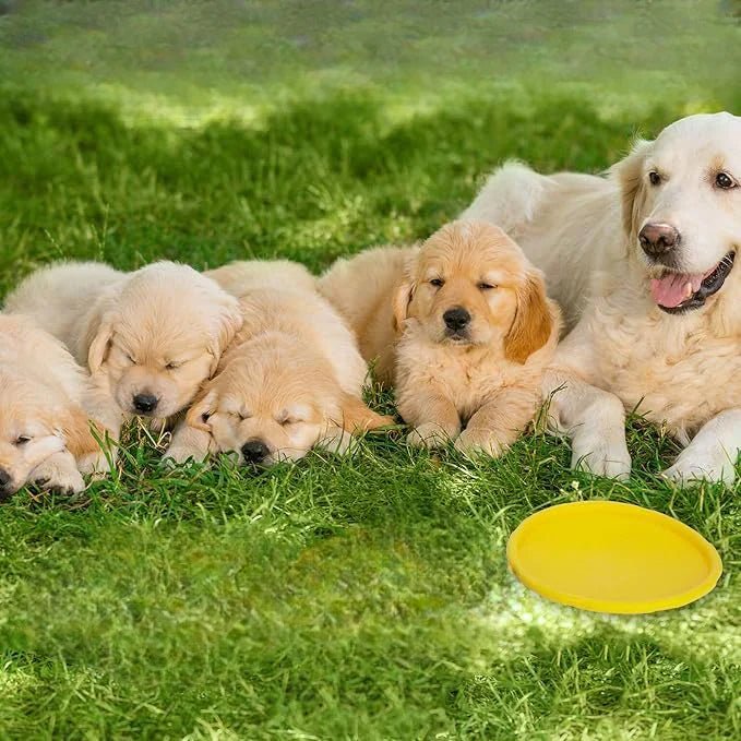 Frisbee Chien - FlyingDiscToys™ - Jaune - Toutou Joyeux