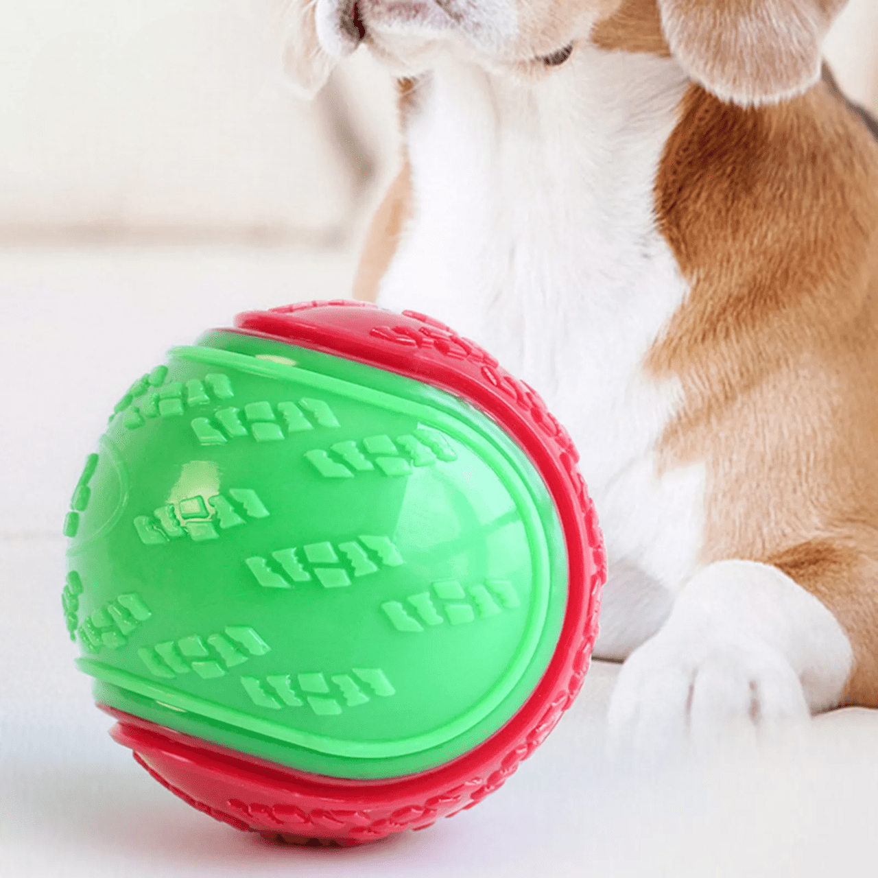 Balle pour Chien - InteractiveToys™ - Vert - Toutou Joyeux