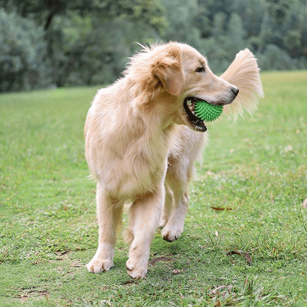 Balle pour Chien - BiteResistantBall™ - Vert - Toutou Joyeux