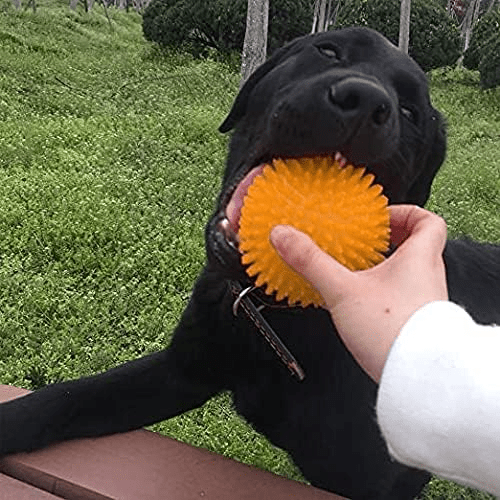 Balle pour Chien - BiteResistantBall™ - Orange - Toutou Joyeux