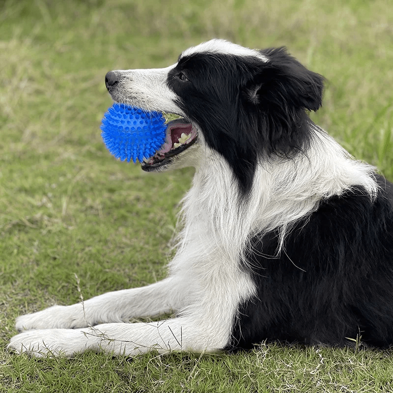 Balle pour Chien - BiteResistantBall™ - Bleu - Toutou Joyeux