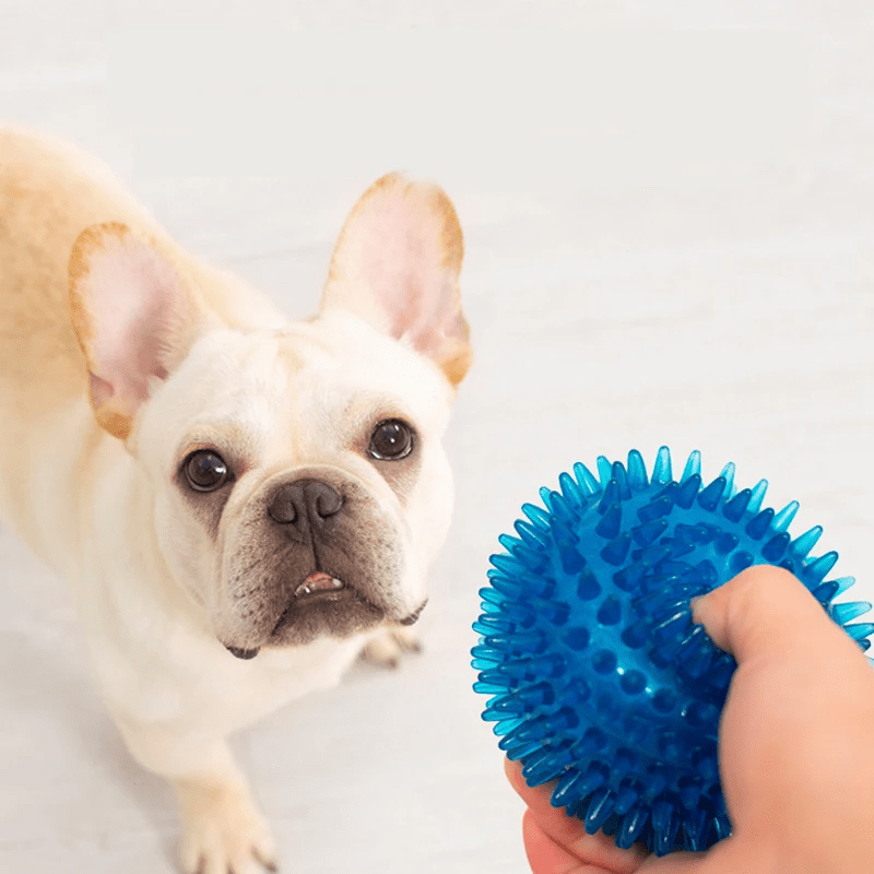 Balle pour Chien - BiteResistantBall™ - Bleu - Toutou Joyeux