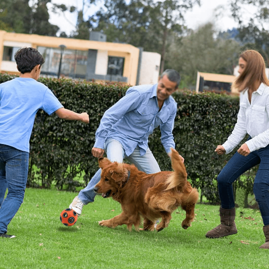 Balle pour chien - DogChewBall™ - Orange - Toutou Joyeux