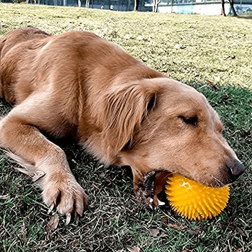 Balle pour Chien - BiteResistantBall™ - Orange - Toutou Joyeux