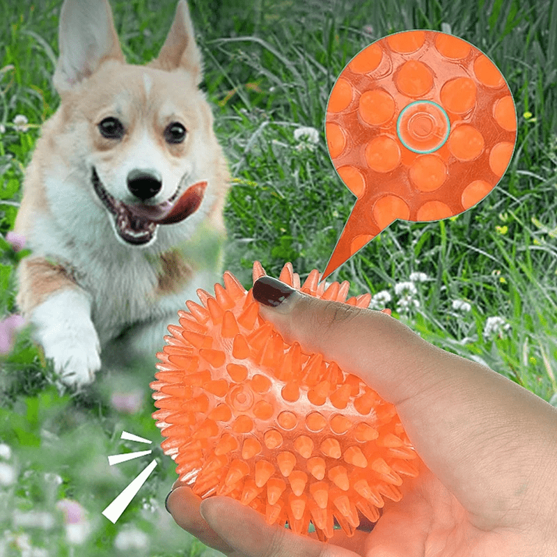 Balle pour Chien - BiteResistantBall™ - Orange - Toutou Joyeux